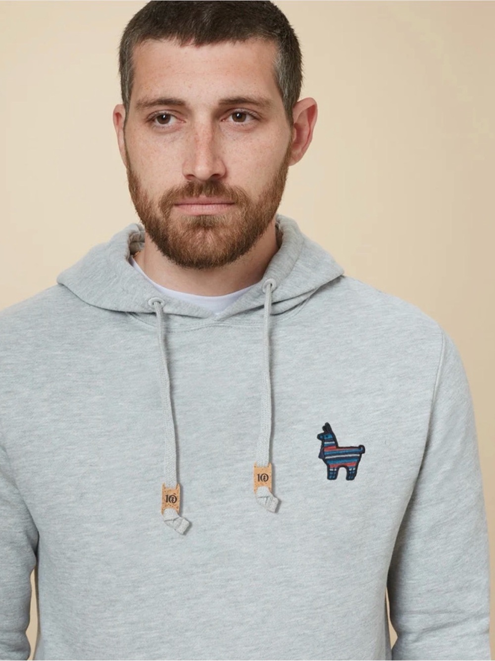 TENTREE Peru Embroidered Llama Hoodie Men's Treefleece Organic Cotton S